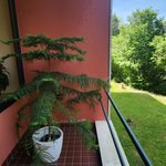 Gallery image of Villa Volman
