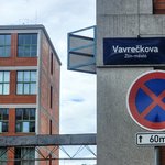 Gallery image of Baťa's Plants