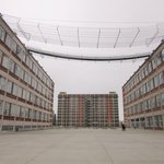 Gallery image of Baťa's Plants
