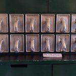 Gallery image of Römerstadt