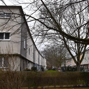 Riederwald