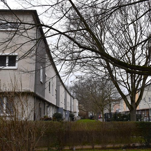 Feed image of Riederwald