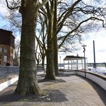 Gallery image of Rhine Terrace Pavilion