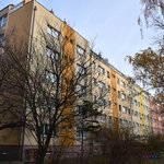 Gallery image of Green Fox