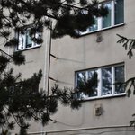 Gallery image of Green Fox