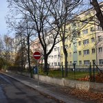 Gallery image of Green Fox