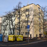 Gallery image of Green Fox