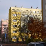 Gallery image of Green Fox