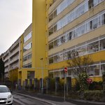 Gallery image of Green Fox