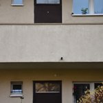 Gallery image of Green Fox