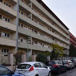 Gallery image of Green Fox