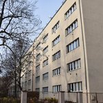 Gallery image of Green Fox