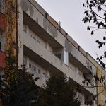 Gallery image of Green Fox