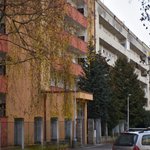 Gallery image of Green Fox