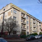 Gallery image of Green Fox