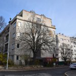 Gallery image of Green Fox