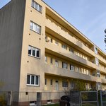 Gallery image of Green Fox