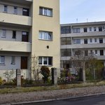 Gallery image of Green Fox