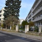 Gallery image of Green Fox