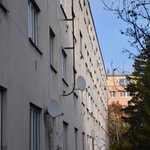 Gallery image of Green Fox